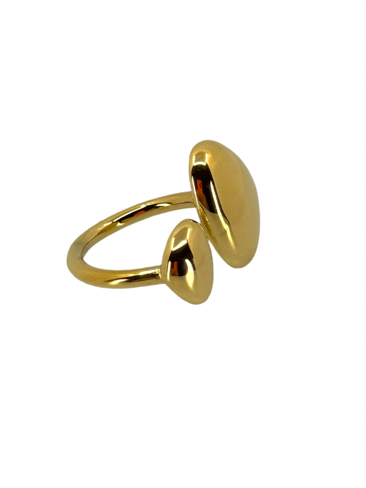 Double Gold Ring